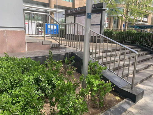 追蹤報道 城市綠化帶，犄角旮旯里的垃圾不見了——探訪城市綠化精細化管理的轉變
