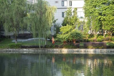 夏日守望 紹興園林工人的清晨澆灌與都市植被之魂